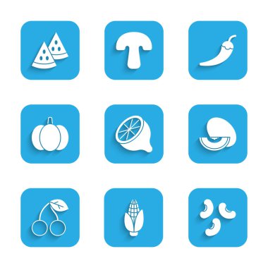 Limon, mısır, fasulye, kavun, kiraz, balkabağı, acı biber kabuğu ve karpuz ikonu. Vektör