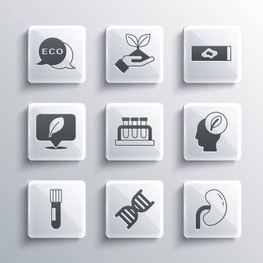 DNA sembolü, insan böbreği, içinde yaprak olan kafa, test tüpü ve matara, konum, ekolojik sağlıklı yiyecek etiketi ve kan testi virüs ikonu. Vektör