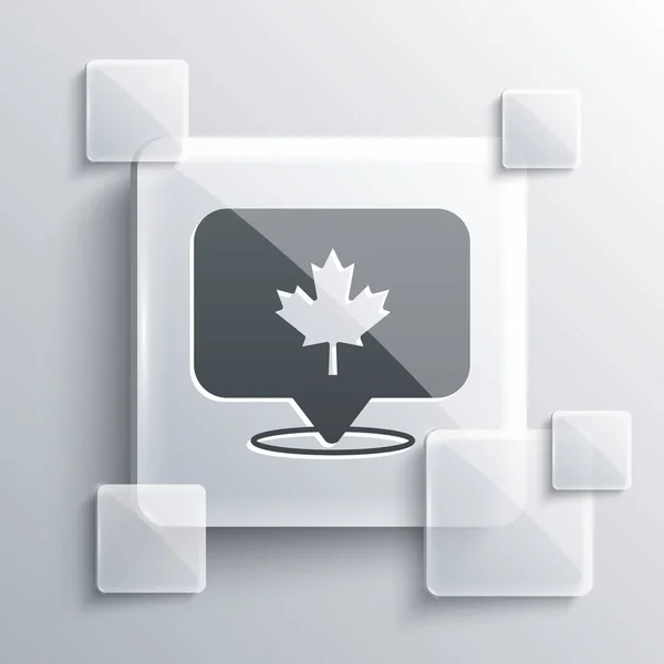 Γκρι καναδικό φύλλο σφενδάμου απομονωμένο σε γκρι φόντο. Το φύλλο σφενδάμου του Καναδά. Τετράγωνα γυάλινα πάνελ. Διάνυσμα — Διανυσματικό Αρχείο