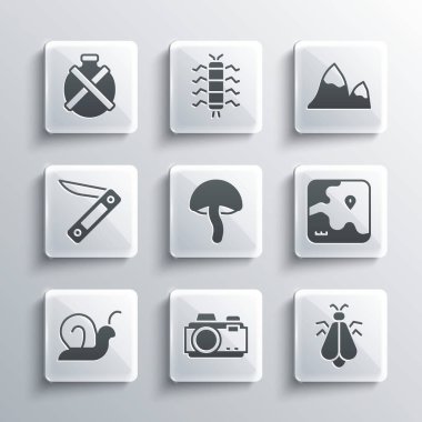 Fotoğraf makinesi, Sivrisinek, Afrika safari haritası, mantar, salyangoz, İsviçre ordu bıçağı, kantin suyu şişesi ve dağ ikonu. Vektör