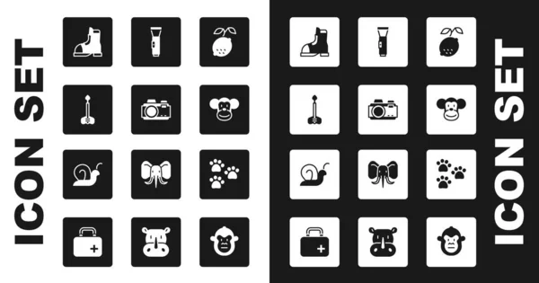 Set Zitrone, Fotokamera, Pfeil, Jägerstiefel, Affe, Taschenlampe, Pfotenabdruck und Schneckensymbol. Vektor — Stockvektor