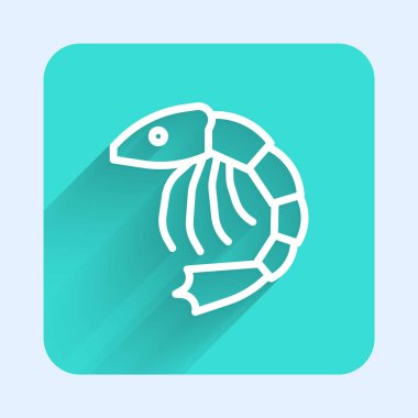 Beyaz çizgi karides ikonu uzun gölgeli izole edilmiş. Yeşil kare düğmesi. Vektör