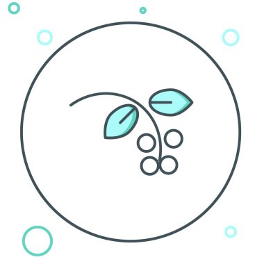 Çizgili kahve çekirdeği, yapraklı dal ve beyaz arka planda izole edilmiş çilek ikonu. Yapraklı bitki, dut, meyve, tohum. Renkli taslak konsepti. Vektör.