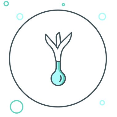 Beyaz arkaplanda çizgi soğanı simgesi izole edildi. Renkli taslak konsepti. Vektör.