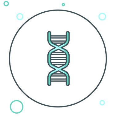 Beyaz arkaplanda izole edilmiş çizgi DNA sembolü. Renkli taslak konsepti. Vektör.