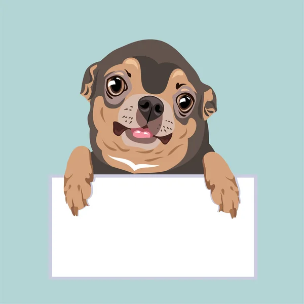 Roztomilý Vtipný Pes Čivava Štěně Výraznýma Očima — Stockový vektor