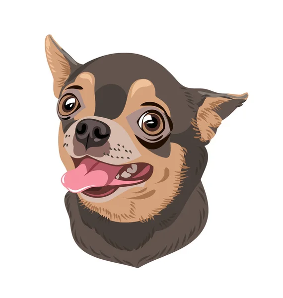 Şirin Komik Köpek Anlamlı Gözleri Olan Chihuahua Köpeği — Stok Vektör