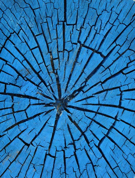 Старый ствол дерева пень цветной краски — стоковое фото