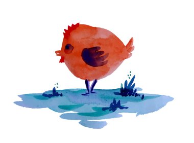 tavuk resmini su renk