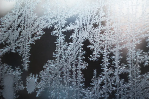 Vidrio cubierto invierno hoarfrost —  Fotos de Stock
