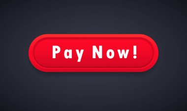 Şimdi öde düğme. E-ticaret konsepti. Ödeme çevrimiçi. İzole edilmiş arkaplanda vektör. EPS 10