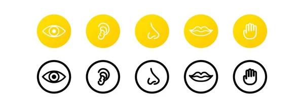 人間の五感アイコンセット 舌の記号を持つ口 聴覚触覚の概念 — ストックベクタ
