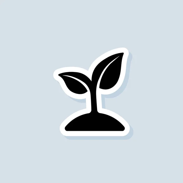 Αυτοκόλλητο Σκαθαριού Λογότυπο Οικολογίας Εικονίδια Βλαστού Διάνυσμα Απομονωμένο Φόντο Eps — Διανυσματικό Αρχείο