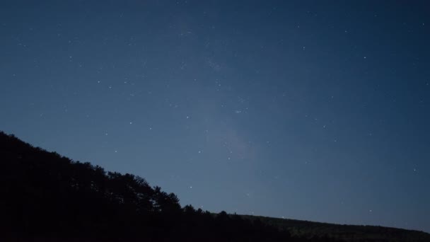 Cielo nocturno estrellas y bosque Timelapse — Vídeo de stock