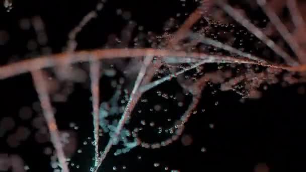 Animación Abstracta Lazo Sin Costura Oscuridad Con Adn Partículas — Vídeo de stock