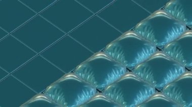 Kusursuz Döngü Özeti Yastıkları Şişirilmiş Arkaplan