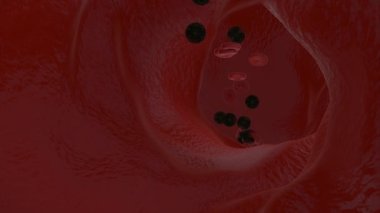 Virüsten bulaşan kan hücreleri