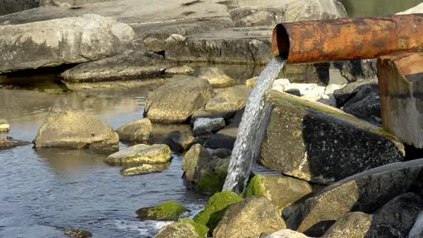 Contaminación del agua de mar — Vídeos de Stock