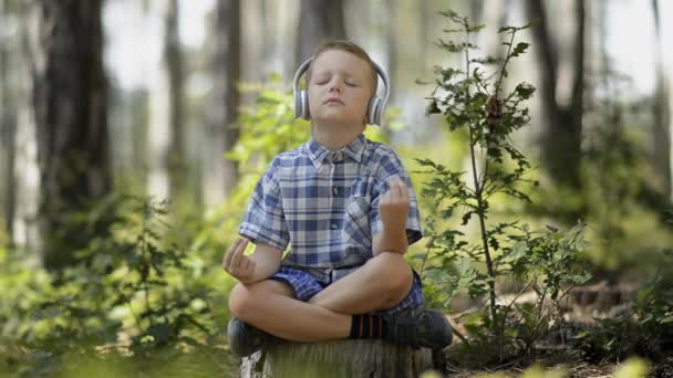 Little Boy Meditating In The Forest — Stock Video