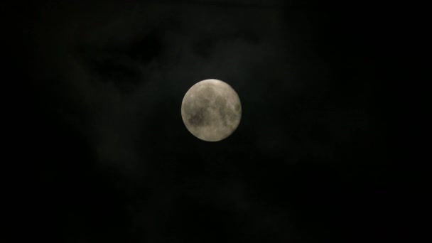 Night Sky And Full Moon. Timelapse Background — Stock Video