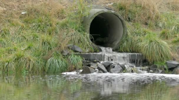 Забруднення води річки — стокове відео