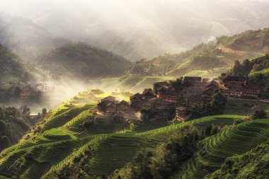 Longji pirinç Teras