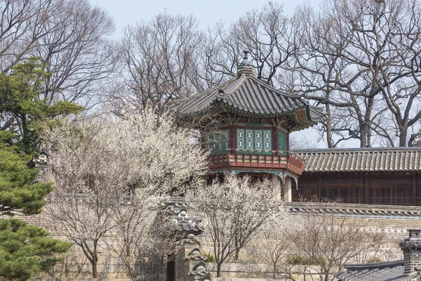 Tradycyjne koreańskie pawilon na wiosnę — Zdjęcie stockowe