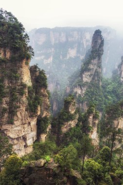 yuanjiajie uzun boylu Dağ doruklarına