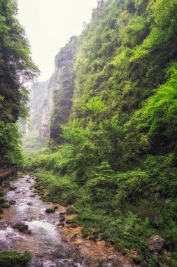 zhangjiajie grand canyon creek view clipart