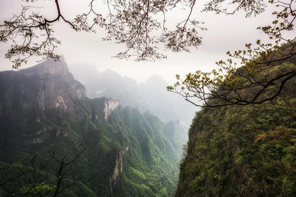 Tianmen paesaggio montano e punto di vista — Foto Stock