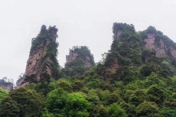 Національний лісовий парк Юаньцзян — стокове фото