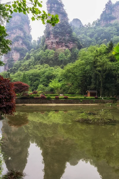 Yuanjiajie parco forestale nazionale — Foto Stock