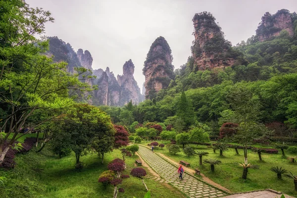 yuanjiajie Ulusal orman park 