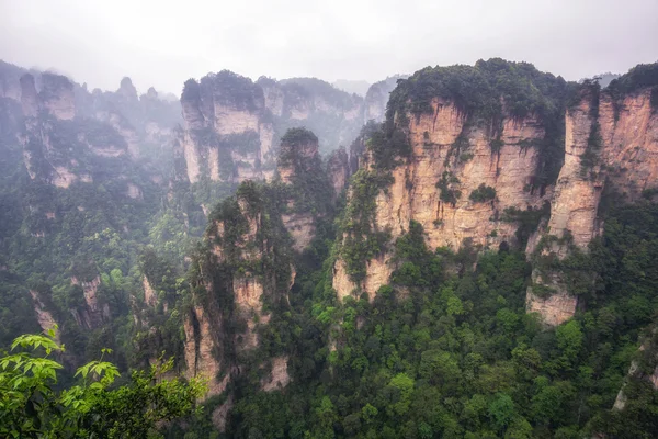 Vysoké horské štíty yuanjiajie — Stock fotografie