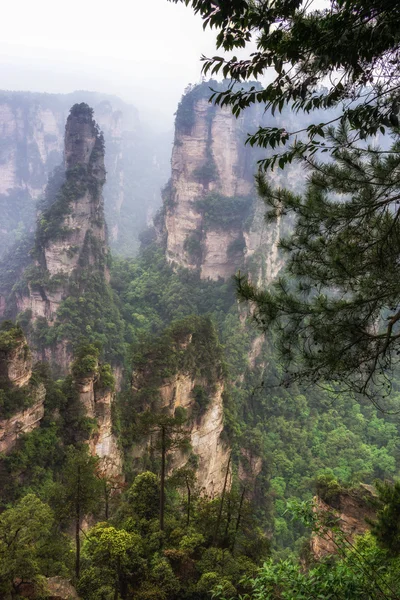 Hoge bergtoppen van yuanjiajie — Stockfoto