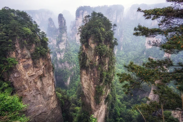 Höga bergstoppar yuanjiajie — Stockfoto
