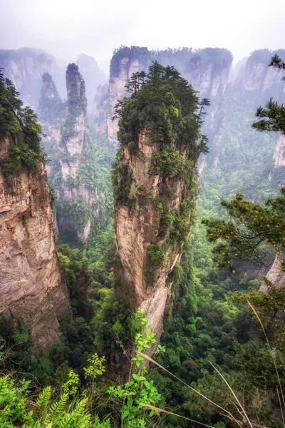 Altos picos de montaña de yuanjiajie — Foto de Stock