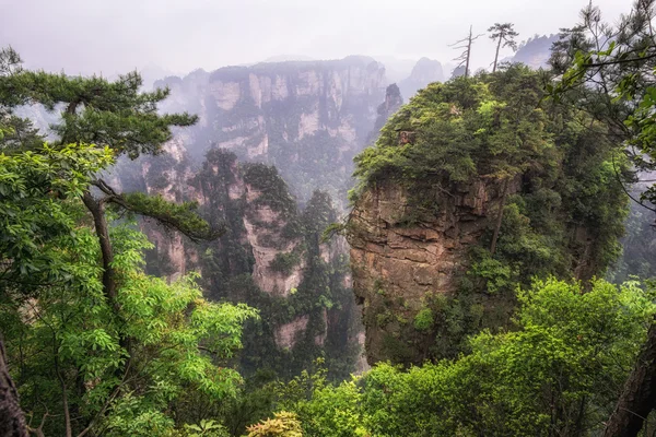 Altos picos de montaña de yuanjiajie — Foto de Stock