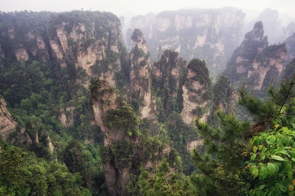 Altos picos de montaña de yuanjiajie — Foto de Stock