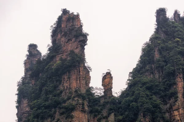 Alte cime montuose di yangjiajie — Foto Stock