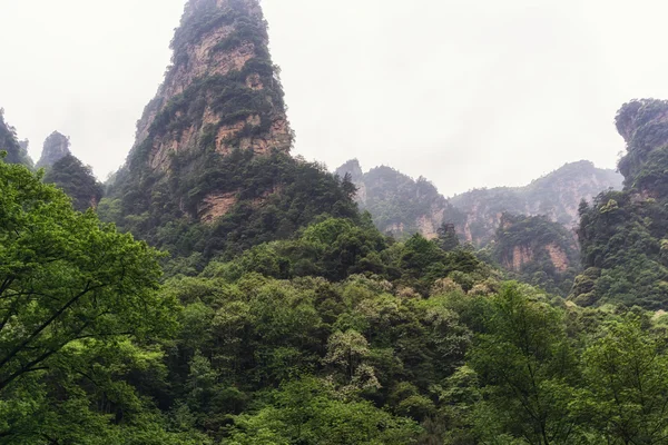 Vysoké horské štíty yangjiajie — Stock fotografie