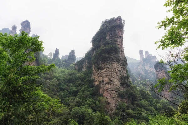 Hoge bergtoppen van yangjiajie — Stockfoto