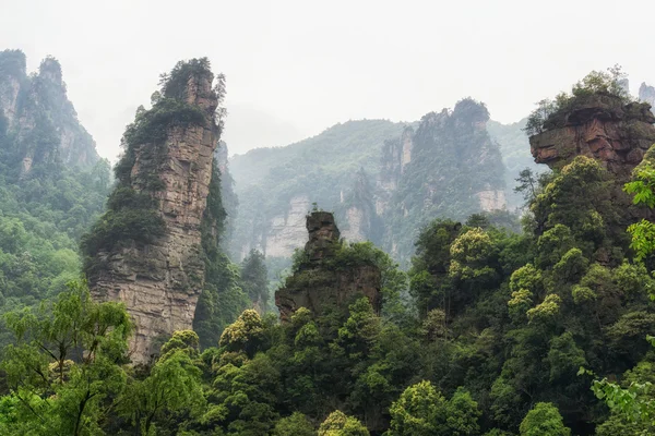 Alte cime montuose di yangjiajie — Foto Stock