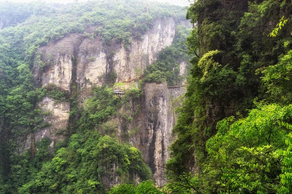 Zhangjiajie grande canyon daxiagu — Fotografia de Stock