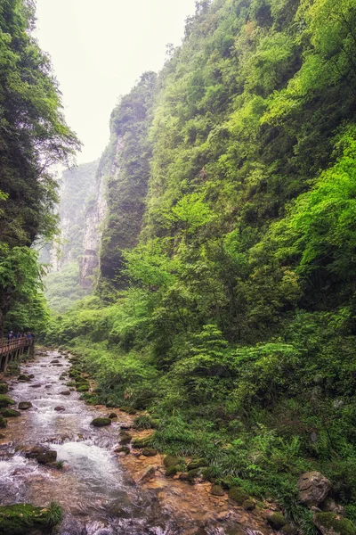 Zhangjiajie Büyük Kanyon creek görünümü — Stok fotoğraf