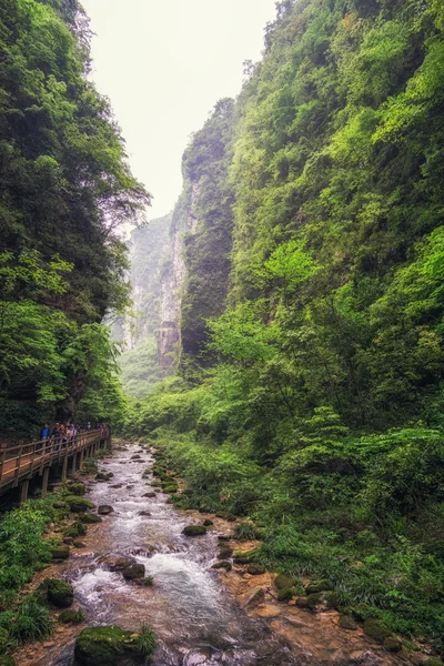 Vue sur le ruisseau du grand canyon zhangjiajie — Photo