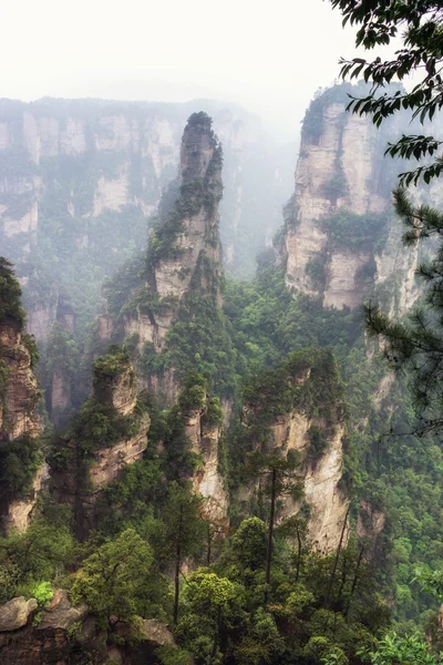 Altos picos de montaña de yuanjiajie — Foto de Stock