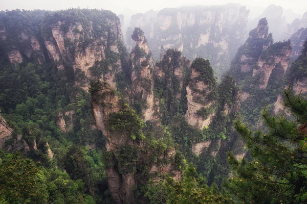 Altos picos de montaña de yuanjiajie — Foto de Stock