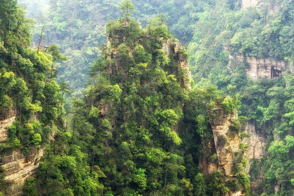 Alte cime montuose di yuanjiajie — Foto Stock