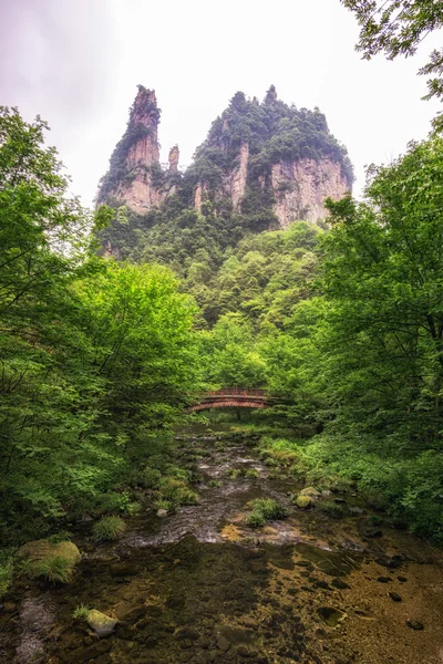 在 yangjiajie 桥河畔 — 图库照片